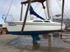 Imagen de Catalina 250