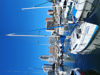 Imagen de Catalina 250